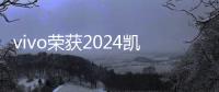 vivo荣获2024凯度BrandZ创新明星品牌奖   X200系列即将发布